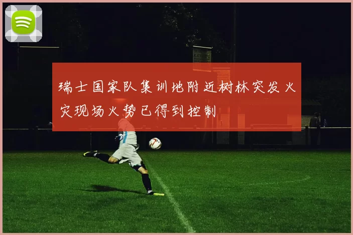 瑞士国家队集训地附近树林突发火灾现场火势已得到控制